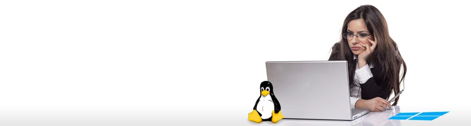 Best Windows and Linux web hosting