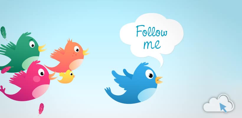 how to build a twitter following